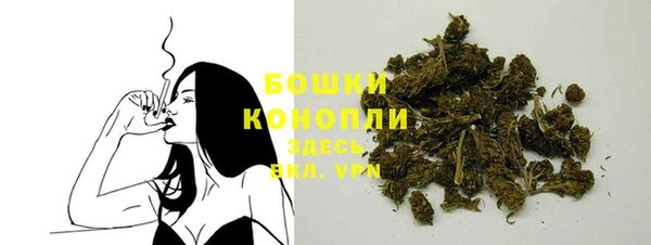 шишки Армянск