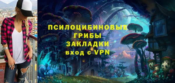 шишки Армянск