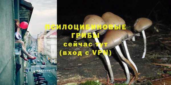 шишки Армянск