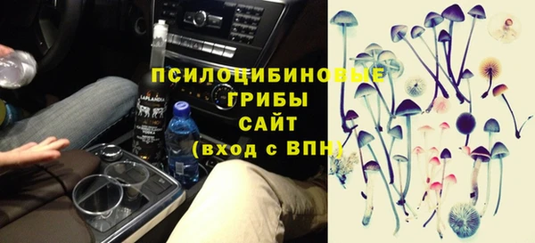 шишки Армянск